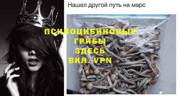 гидропоника Абаза