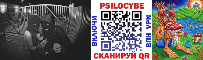 нарко площадка наркотические препараты  блэк спрут зеркало  Невельск  где найти   Псилоцибиновые грибы Psilocybe 